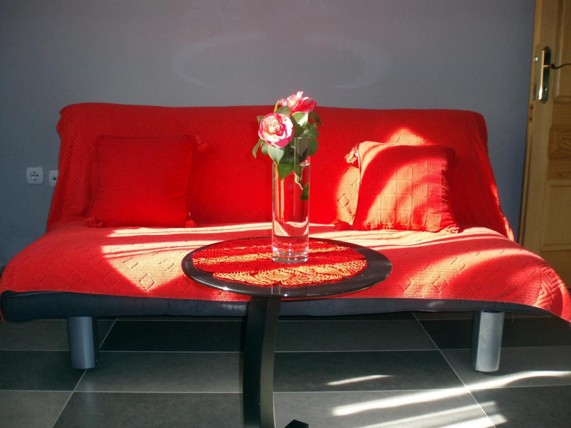 Djurovic Apartments Montenegro Kotor Ngoại thất bức ảnh