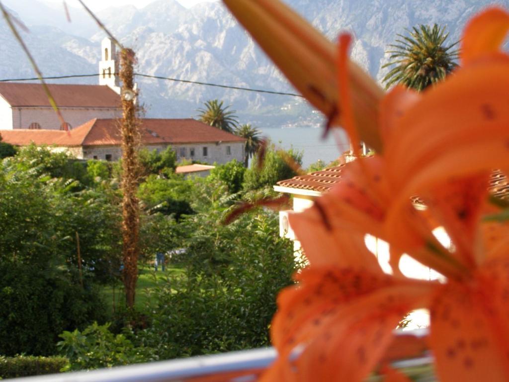 Djurovic Apartments Montenegro Kotor Phòng bức ảnh