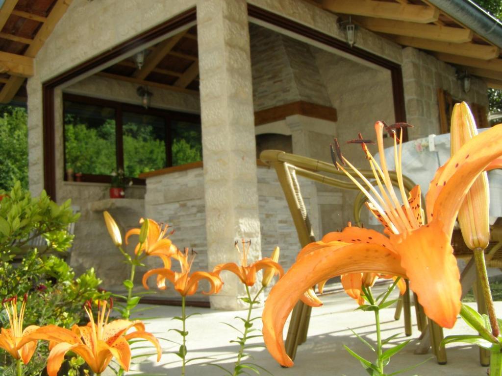 Djurovic Apartments Montenegro Kotor Phòng bức ảnh